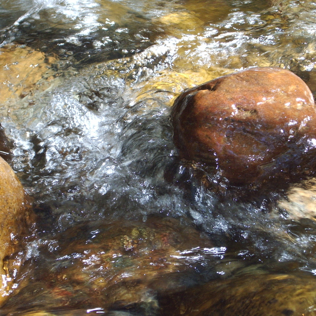 Virtual Intro to Mindfulness Workshop promotional image